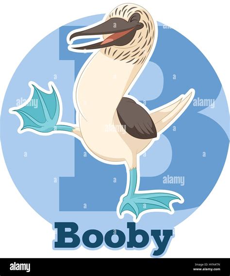 cartoon boobies|284 Booby Cartoon Images, Stock Photos & Vectors